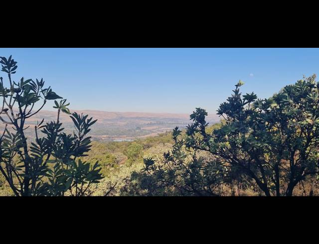 78HA VACANT LAND FOR SALE IN BUFFELSFONTEIN AH